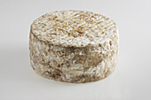 Whole round of French Tomme de Brebis Corse ewe's milk cheese