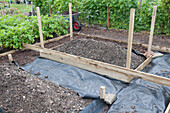 Constructing wooden framework for raised bed on allotment