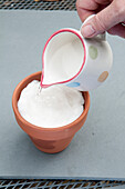 Pouring water on kitchen paper in plant pot from small jug
