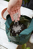 Filling root ball with soil and slow-release fertilizer granules
