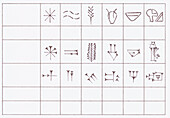 Cuneiform characters compared to later photographic signs
