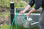 Filling watering can with water from tap and hose