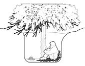 Man sheltering in tree pit, illustration