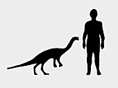 Dinosaur next to a silhouette of a man