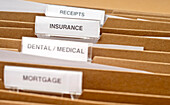 Files in filing box with various labels