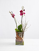 Orchid tank flower arrangement