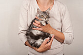 Woman holding cat correctly