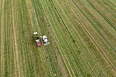 Alfalfa harvest on a farm, aerial photograph