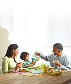 Family having sandwiches at a table