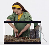 Girl putting slates into a fish tank