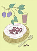 Plums and prunes, illustration
