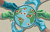 Hands holding petri dish with world map, illustration