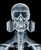 Skull wearing a respirator and goggles, X-ray