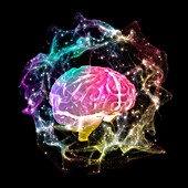 Human brain anatomy with energy field, 3D illustration
