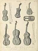 Viola and violin, 19th century illustration