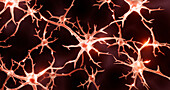 Neurons, illustration