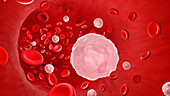 Neutrophil in the blood stream, illustration