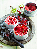 Red currant sorbet