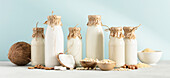 Vegan non dairy plant based milk in bottles and ingredients on blue background Alternative lactose free milk substitute