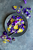 Violette und gelbe Veilchenblüten auf einem Teller