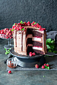 Chocolate Raspberry mousse cake