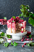 Raspberry tiramisu cake