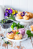 Blueberry tarts with cottage cheese