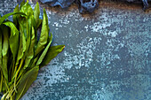 Wild garlic on a stone background