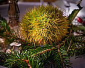 A sweet chestnut as a table decoration