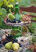 Etagere aus Flasche und Holzscheiben selbermachen: blaue Weintrauben, Käse, Birnen, Hagebutten und Maronen in Fruchthülle