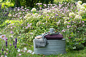 Zinc tub with cushion and blanket used as a seat next to flowerbed with Japanese anemones and shrub hydrangea