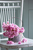 Old zinc paint bucket with pink blossom on mint green chair