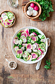 Wassermelonenrettich-Salat mit Mozzarella