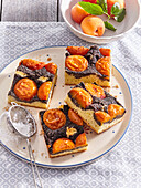 Apricot and poppy seed cuts