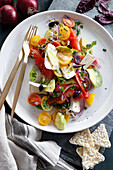 Multi-colored tomato salad with camembert and sprouts