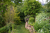 Üppig bewachsener Garten mit Trockensteinmauer und Rasenweg