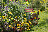Gartenstuhl am Beet mit Sonnenblumen Sunbelievable, Amaranth, Herbstaster, Duftnessel und Zweizahn