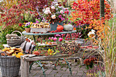 Autumn terrace: autumn bouquet with roses, rosehips and autumn asters, baskets with walnuts, chestnuts and autumn leaves, pumpkins, chillies, rosehips and pansies