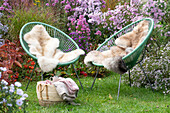 Acapulco armchair with seat skins at the autumn bed with autumn asters, Chinese reed, lampion flower and bergenia, basket with blanket