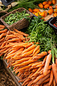 Frische Karotten auf einem Markt