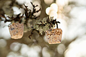 DIY hanging fat balls for birds
