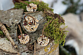 DIY fat food for birds to hang