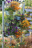 Trellis with pots and boxes as room dividers, irrigation\nwith drip hoses
