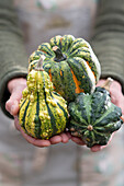 Woman holding ornamental pumpkins and 'Sweet Dumpling' squash