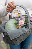 Frau bringt Geschenkkorb mit Speisekürbis 'Ungarischer Blauer', Rosenblüte, Mannstreu und Herbstanemonen