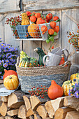 Herbstdekoration am Brennholzstapel: Speisekürbisse, Zierkürbisse, Lampionfrüchte, Hagebutten und Herbstastern in Wandhänger und Korb