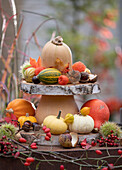 Etagere aus Holzscheiben und Butternut-Kürbis, dekoriert mit Kürbissen, Lampionfrüchten, Kastanien, Hagebutten und Maronen