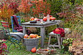 Kürbis-Tischdeko mit Kürbissen, kleiner Strauß aus Pfaffenhütchen-Fruchtständen und Hornveilchen, Korb mit Kürbissen und Herbstlaub, Stühle und Bank mit Decken