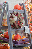Holzleiter als Etagere dekoriert mit Herbstkranz aus Clematisfruchtständen, Fetthenne, Hagebutten und Herbstlaub, verschiedene Speisekürbisse