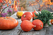 Pumpkins and tripmadam in a pot on the patio table